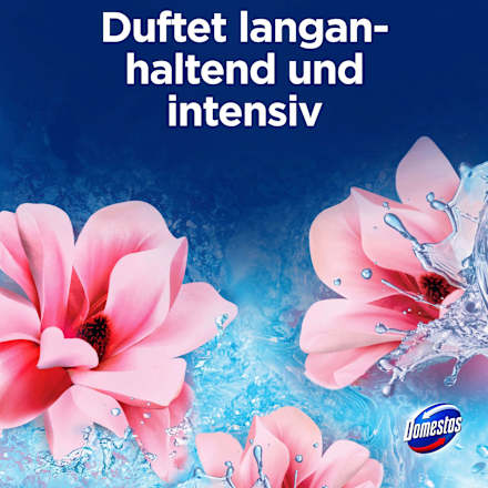 WC-Stein Pink Magnolie Domestos