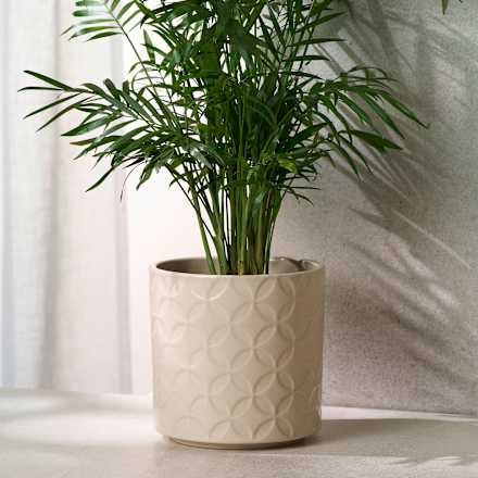 Steinguttopf, beige (13x13 cm) Dekorieren & Einrichten