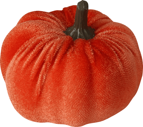 Streudeko, Samtkürbisse Dekorieren & Einrichten