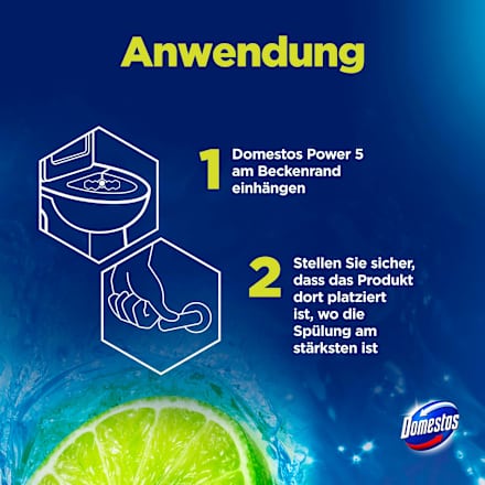 WC-Stein Limette  Domestos