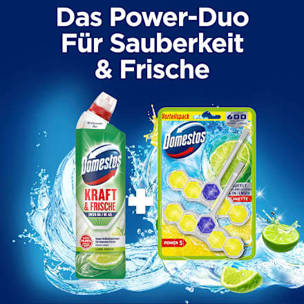 WC-Stein Limette  Domestos