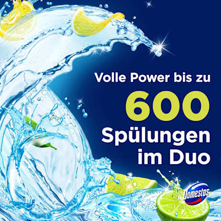 WC-Stein Limette  Domestos