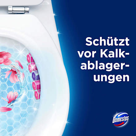 WC-Stein Pink Magnolie Domestos