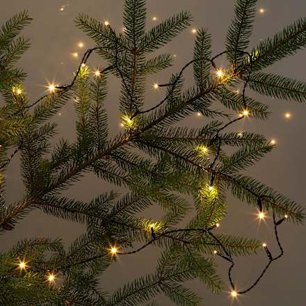 Lichterkette 40er LED mit Timer "Basic" außen und innen 3m warmweiß Dekorieren & Einrichten