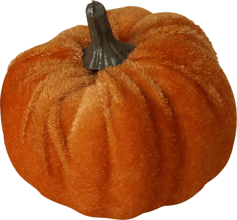 Streudeko, Samtkürbisse Dekorieren & Einrichten