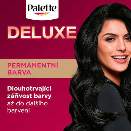 barva na vlasy Sytý přirozeně černý 1-0 Palette DELUXE