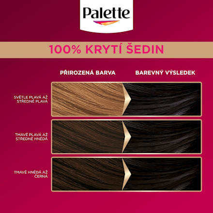 barva na vlasy Sytý přirozeně černý 1-0 Palette DELUXE