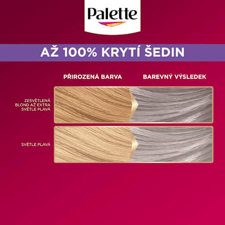 barva na vlasy Ledový stříbrný U71 Palette DELUXE