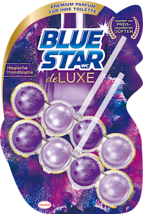 WC-Stein Premium Magische Mondblume BLUE STAR
