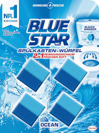 WC-Stein 2in1 Ocean BLUE STAR
