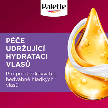 barva na vlasy Ledový stříbrný U71 Palette DELUXE