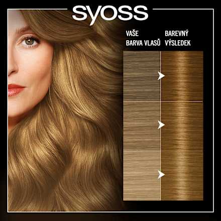 barva na vlasy Medově plavý 8-60   Syoss Oleo Intense