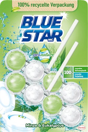 WC-Stein Minze Eukalyptus BLUE STAR