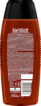 Duschgel 2in1 Körper und Haar Fa Men