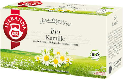 Kräutertee Kamille Teekanne