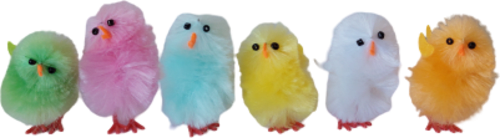 Ukras – pilići  KUWOPA