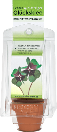 Pflanzenset 4-blättriger Glücksklee Dekorieren & Einrichten