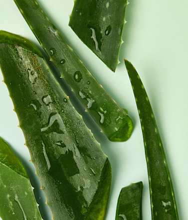 Naturally Good Mizellen Waschgel NIVEA