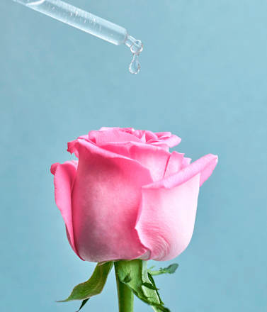 Gesichtscreme Rose Touch NIVEA