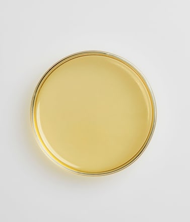 Handseife antibakteriell Basis pH