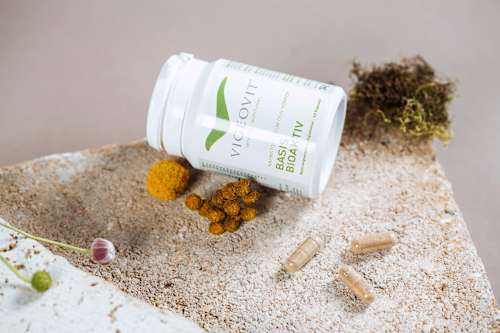 Basis Bioaktiv Kapseln VIGEOVIT