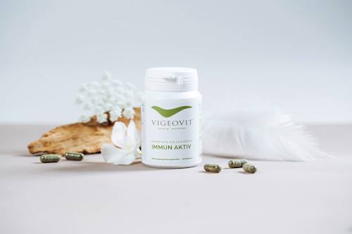 Immun Aktiv Kapseln VIGEOVIT