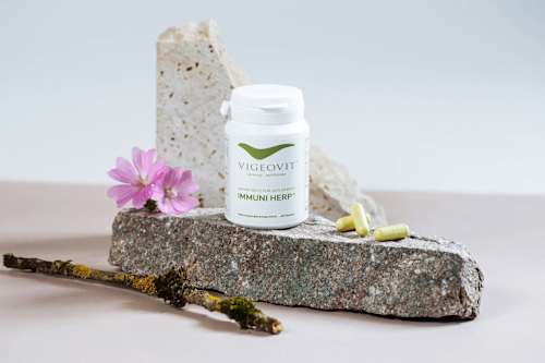 Immuni Herp Kapseln VIGEOVIT