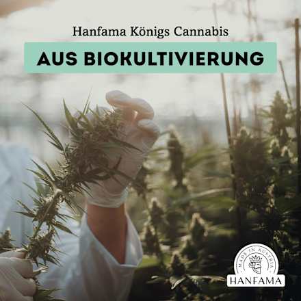  Anti-Stress Aroma Roll-On Hanfama