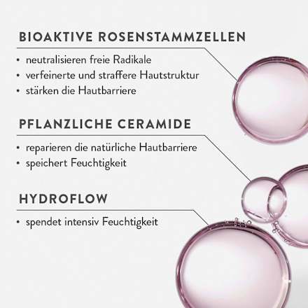 Serum Konzentrat Rose Judith Williams