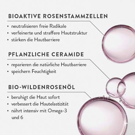 Gesichtscreme Intensivpflege Rose Judith Williams
