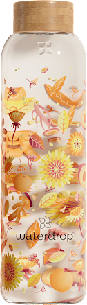 Trinkflasche aus Glas Orange waterdrop