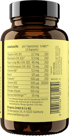 Vitamin B Nerven Edition Kapseln 60 St get your well being BY BIOGENA