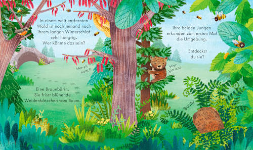 Guck mal, wer da ist! Im Frühling Usborne