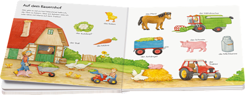 Kinderbuch Mein Erstes Großes Wörterbuch Mini Steps Ravensburger