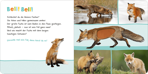 Hör mal rein, wer kann das sein? Waldtiere Ars Edition