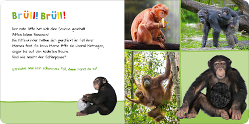 Hör mal rein, wer kann das sein? - Zootiere Ars Edition