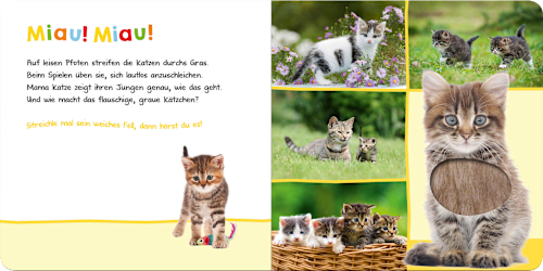 Babybuch Hör mal rein, wer kann das sein? - Lieblingstiere Ars Edition