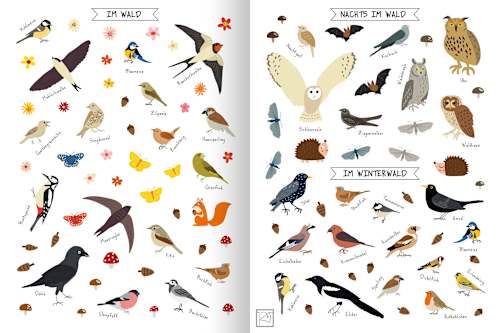 Was zwitschert im Baum? Meine Natursticker Vögel Ars Edition