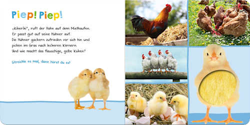 Hör mal rein, wer kann das sein? - Bauernhoftiere Ars Edition