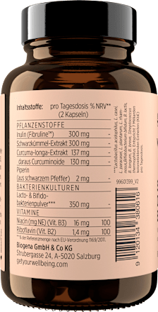 Synbiotic Darm Edition Kapseln 60 St get your well being BY BIOGENA