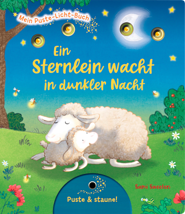 Kinderbuch Mein Puste-Licht-Buch: Ein Sternlein wacht in dunkler Nacht Esslinger