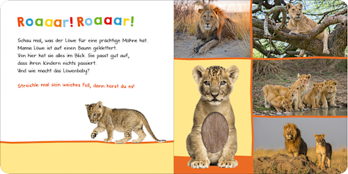 Hör mal rein, wer kann das sein? - Zootiere Ars Edition