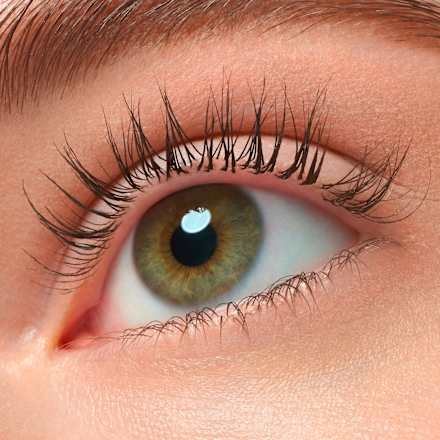 Lash Princess False Lash Effect maskara - Black Brown essence