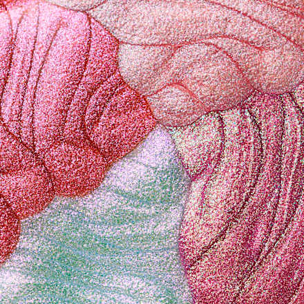 Lipgloss Diamond Glaze 020 Poppin' Glitters CATRICE