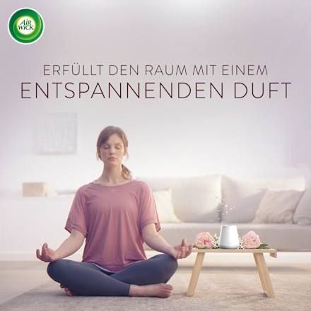 Lufterfrischer Aroma-Öl Diffuser Lavendel Starterset AirWick