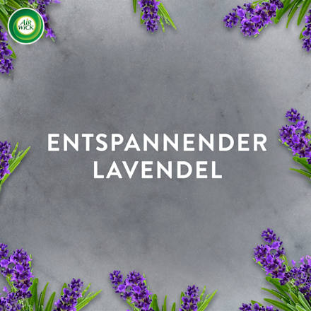 Lufterfrischer Aroma-Öl Diffuser Lavendel Starterset AirWick