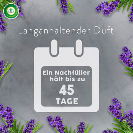 Lufterfrischer Aroma-Öl Diffuser Lavendel Starterset AirWick