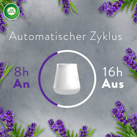 Lufterfrischer Aroma-Öl Diffuser Lavendel Starterset AirWick