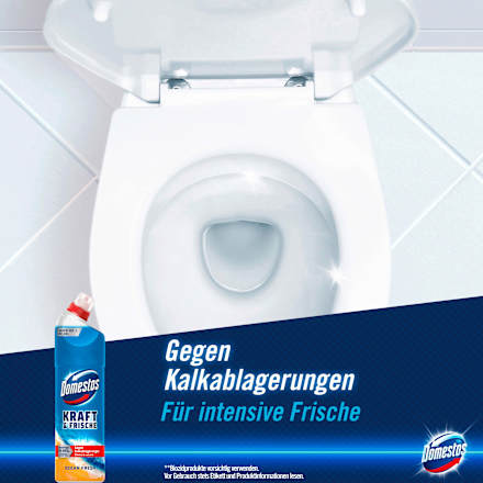 WC-Reiniger Gel Aktiv Kraft Ocean Fresh Domestos