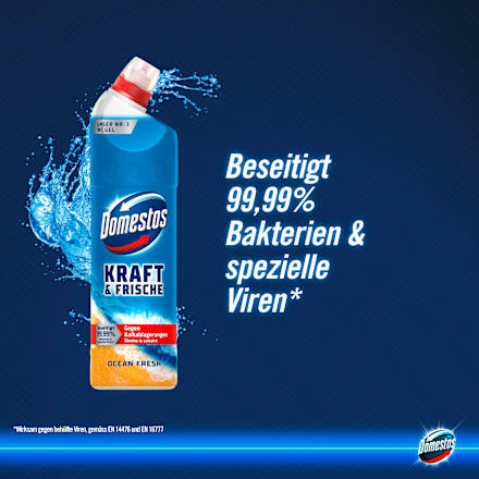 WC-Reiniger Gel Aktiv Kraft Ocean Fresh Domestos